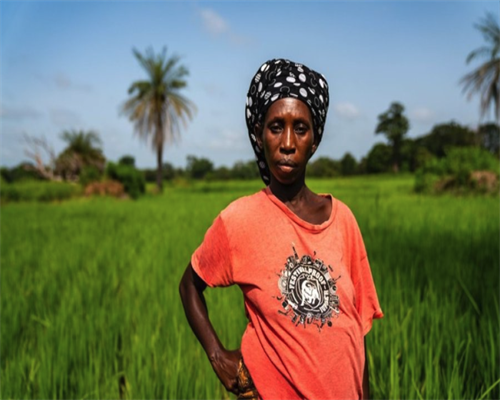 北京做试管婴儿那家好 试管养卵秘诀